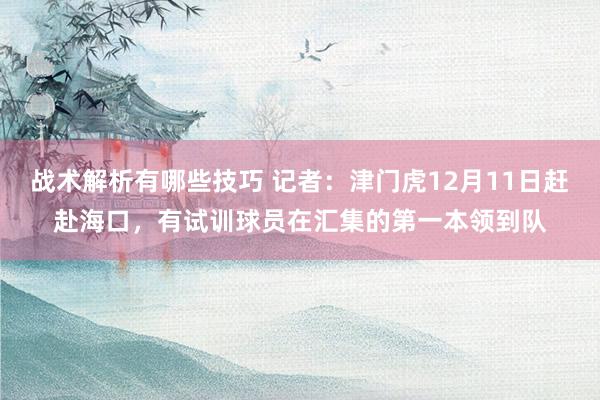 战术解析有哪些技巧 记者：津门虎12月11日赶赴海口，有试训球员在汇集的第一本领到队