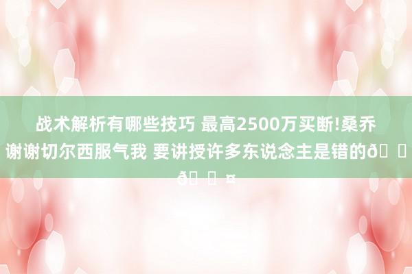 战术解析有哪些技巧 最高2500万买断!桑乔：谢谢切尔西服气我 要讲授许多东说念主是错的😤