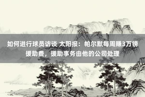 如何进行球员访谈 太阳报：帕尔默每周赚3万镑援助费，援助事务由他的公司处理