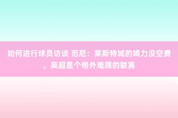 如何进行球员访谈 范尼：莱斯特城的竭力没空费，英超是个格外难踢的联赛