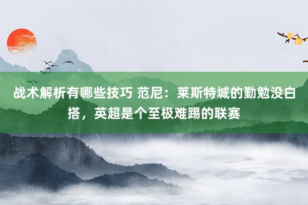 战术解析有哪些技巧 范尼：莱斯特城的勤勉没白搭，英超是个至极难踢的联赛