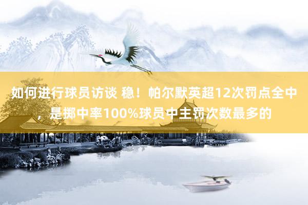 如何进行球员访谈 稳！帕尔默英超12次罚点全中，是掷中率100%球员中主罚次数最多的