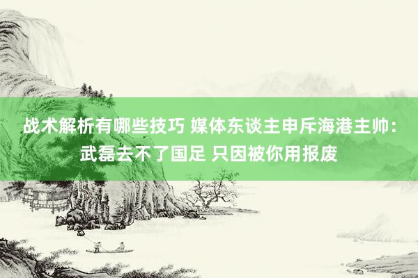 战术解析有哪些技巧 媒体东谈主申斥海港主帅：武磊去不了国足 只因被你用报废